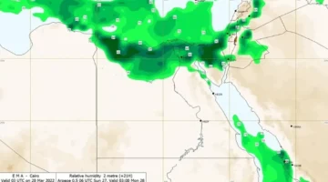 الأرصاد تحذر من موجة رمال مثارة تضرب الوجه البحري وتخفض مستوى الرؤية